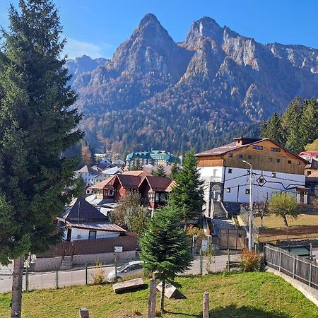 Vila Panoramic Buşteni Εξωτερικό φωτογραφία