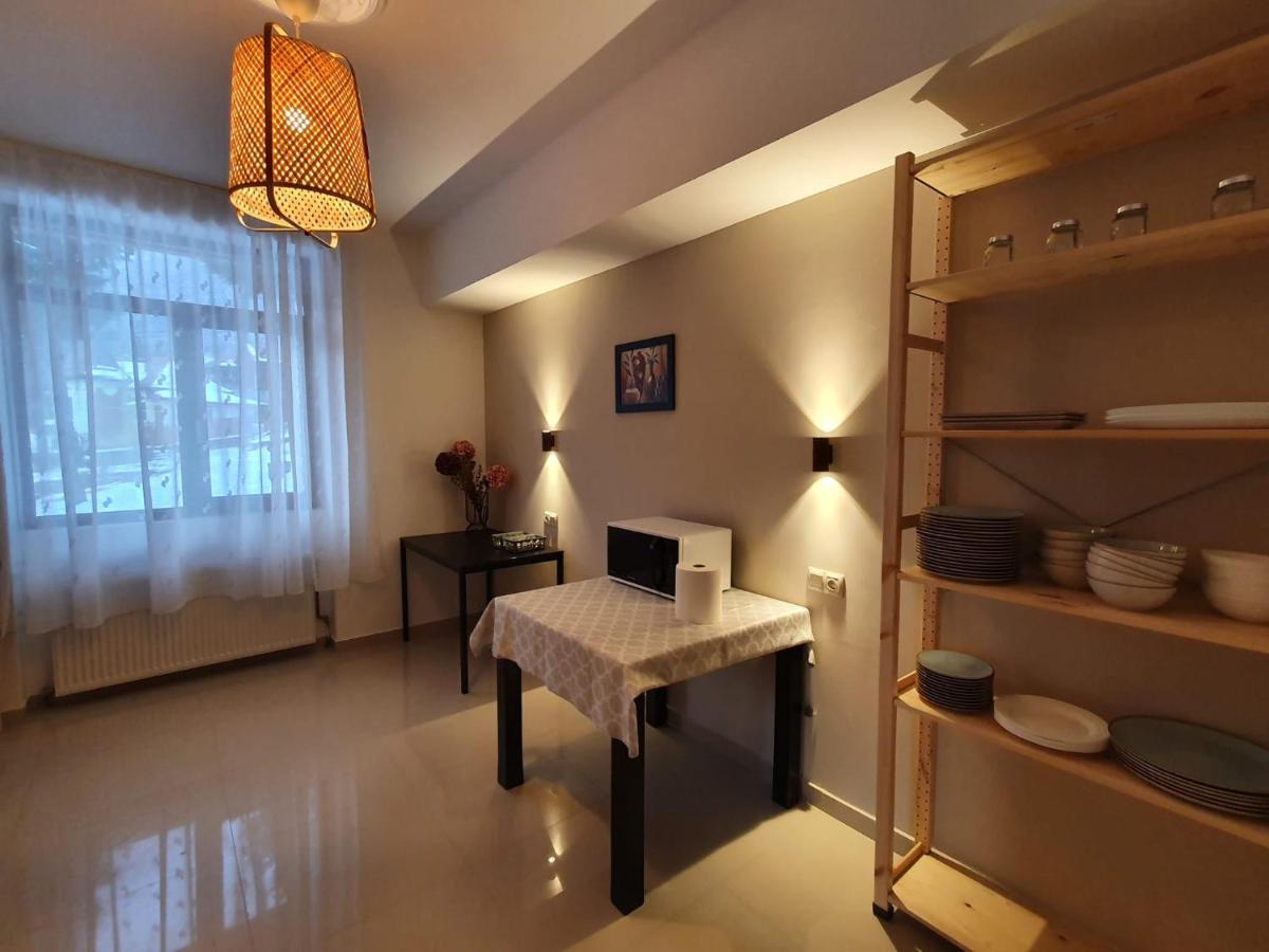 Vila Panoramic Buşteni Εξωτερικό φωτογραφία