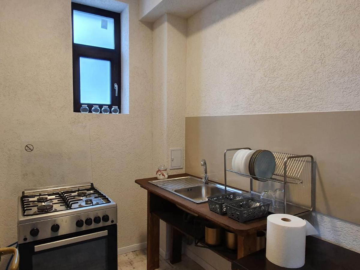 Vila Panoramic Buşteni Εξωτερικό φωτογραφία
