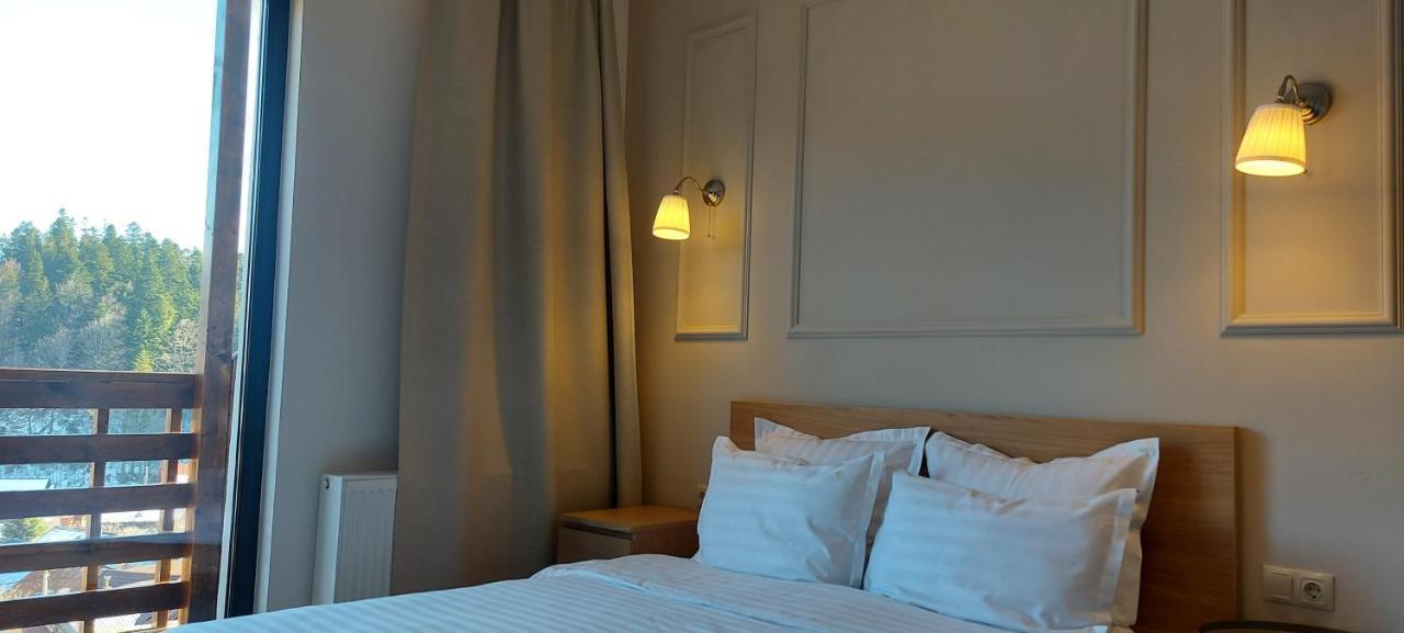 Vila Panoramic Buşteni Εξωτερικό φωτογραφία