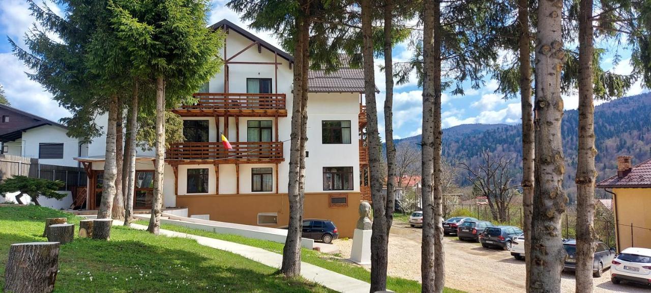 Vila Panoramic Buşteni Εξωτερικό φωτογραφία