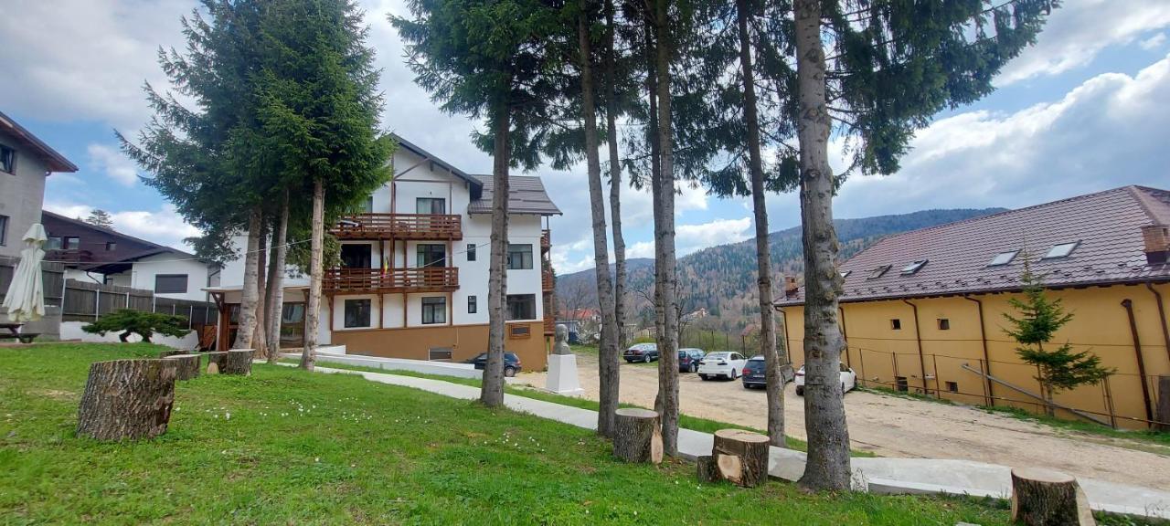 Vila Panoramic Buşteni Εξωτερικό φωτογραφία