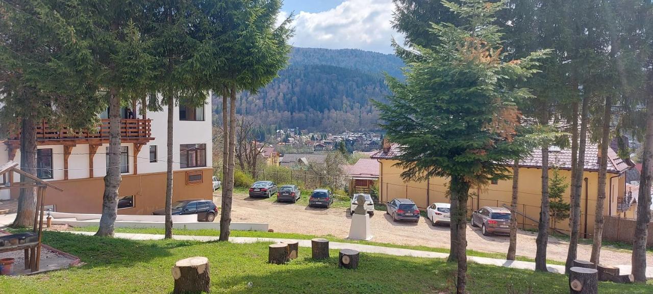 Vila Panoramic Buşteni Εξωτερικό φωτογραφία