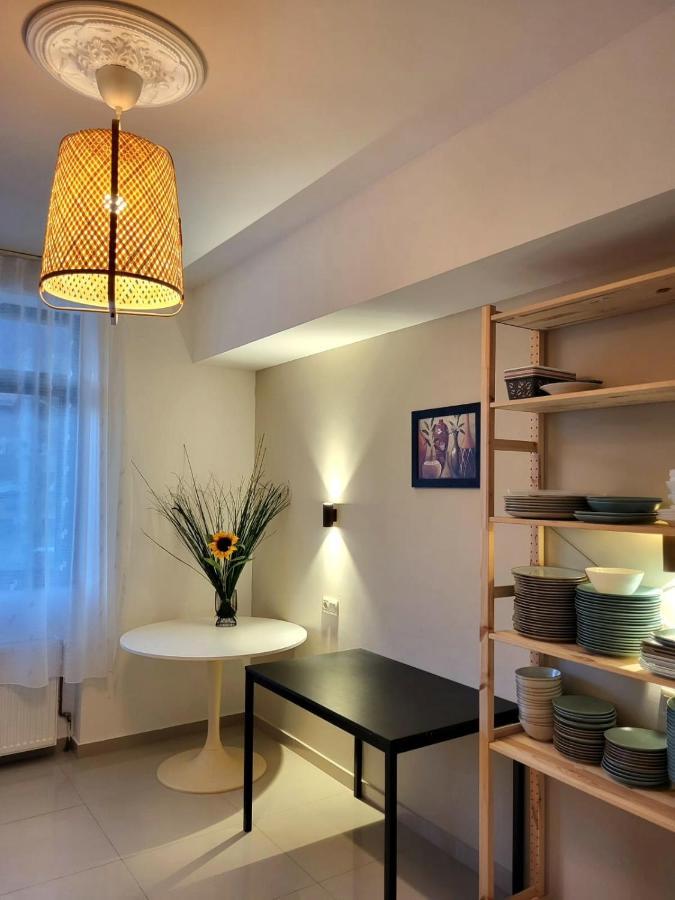 Vila Panoramic Buşteni Εξωτερικό φωτογραφία