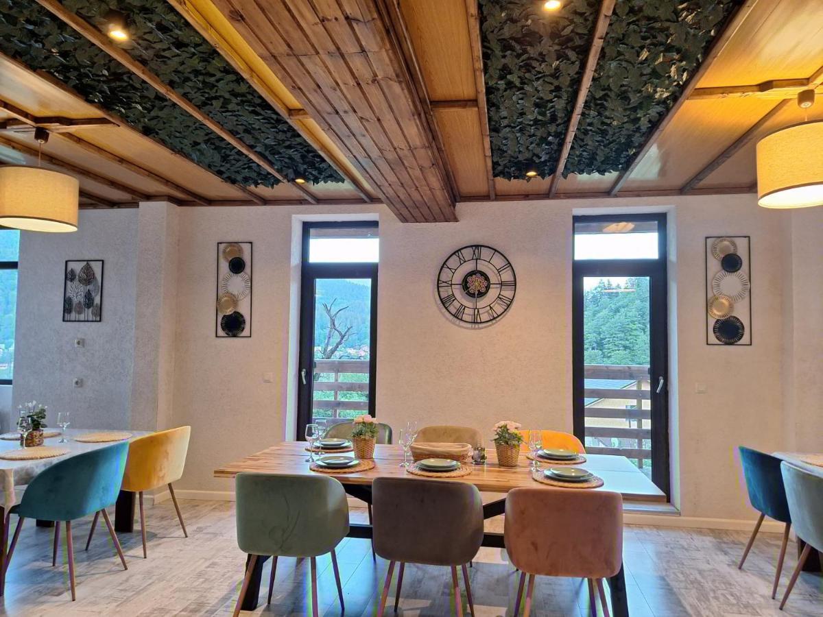 Vila Panoramic Buşteni Εξωτερικό φωτογραφία