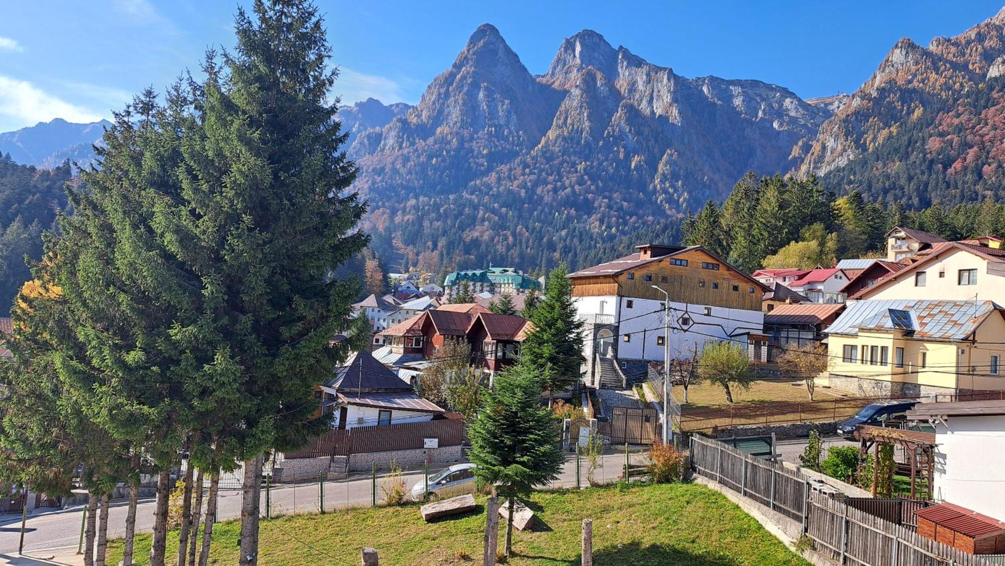 Vila Panoramic Buşteni Εξωτερικό φωτογραφία